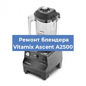 Замена щеток на блендере Vitamix Ascent A2500 в Тюмени